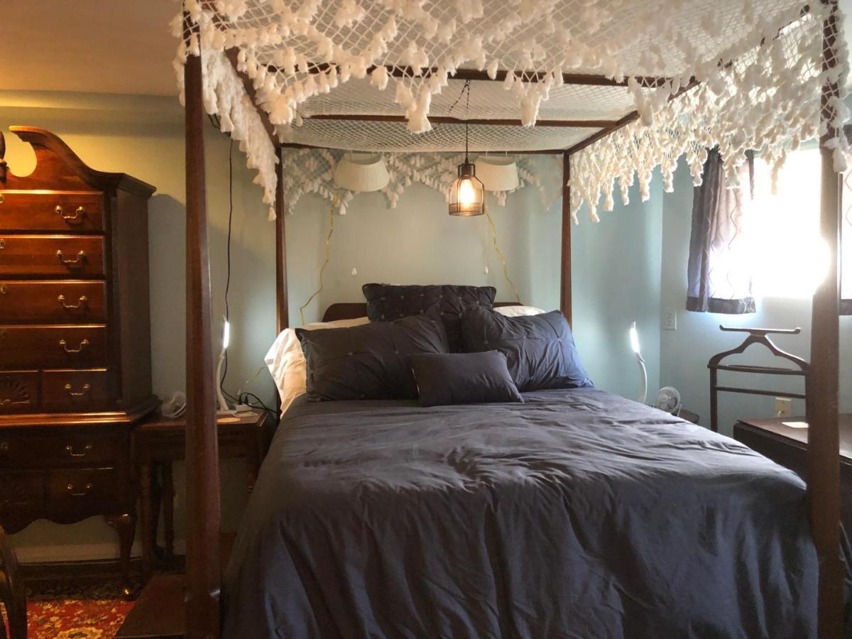 Alice Bellis's Capitol Hill One Bedroom Washington